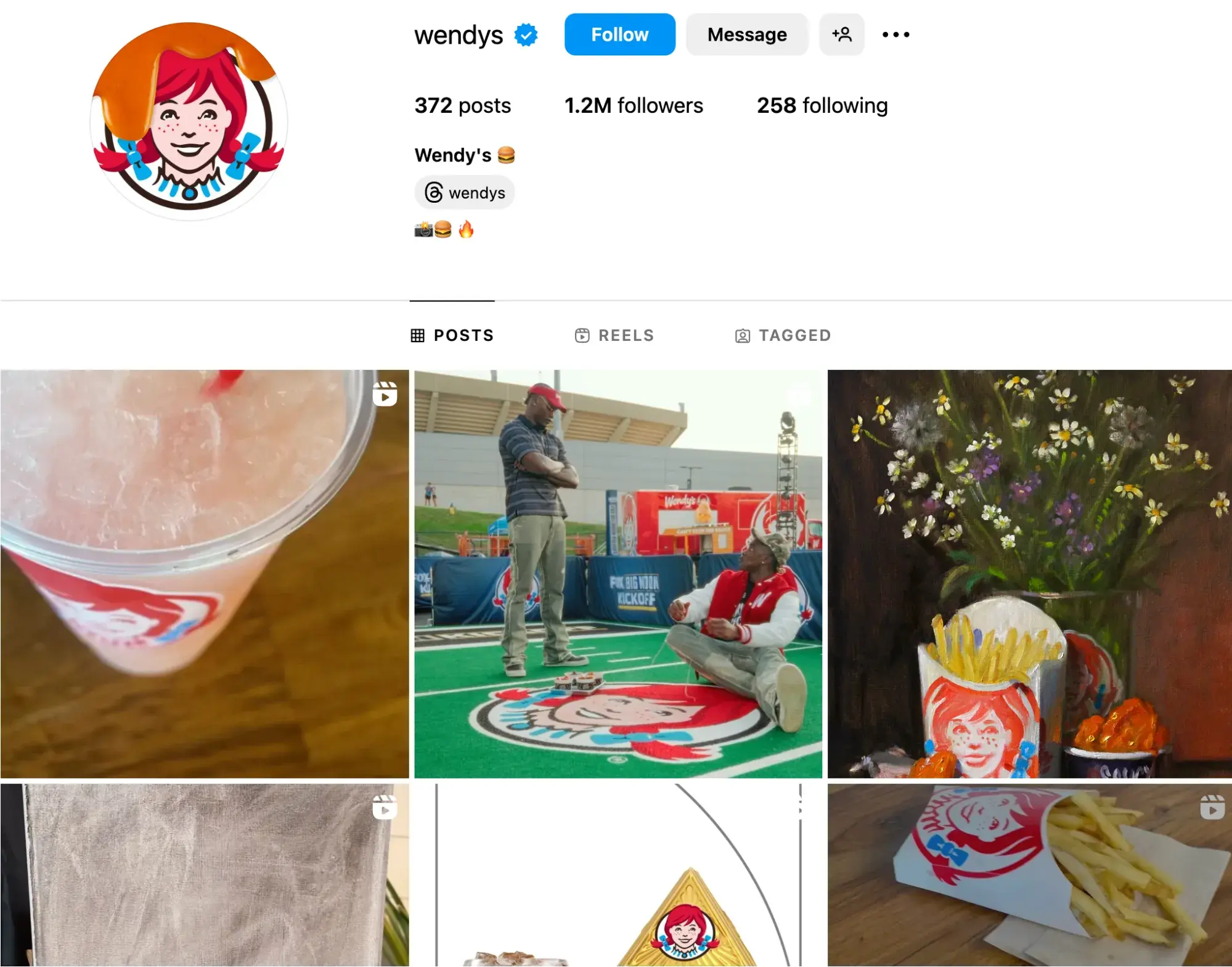 Screenshot of Wendy's Instagram profile