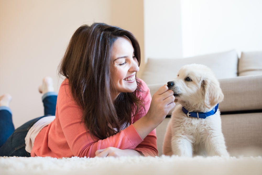 Woman lying on carpet with puppy