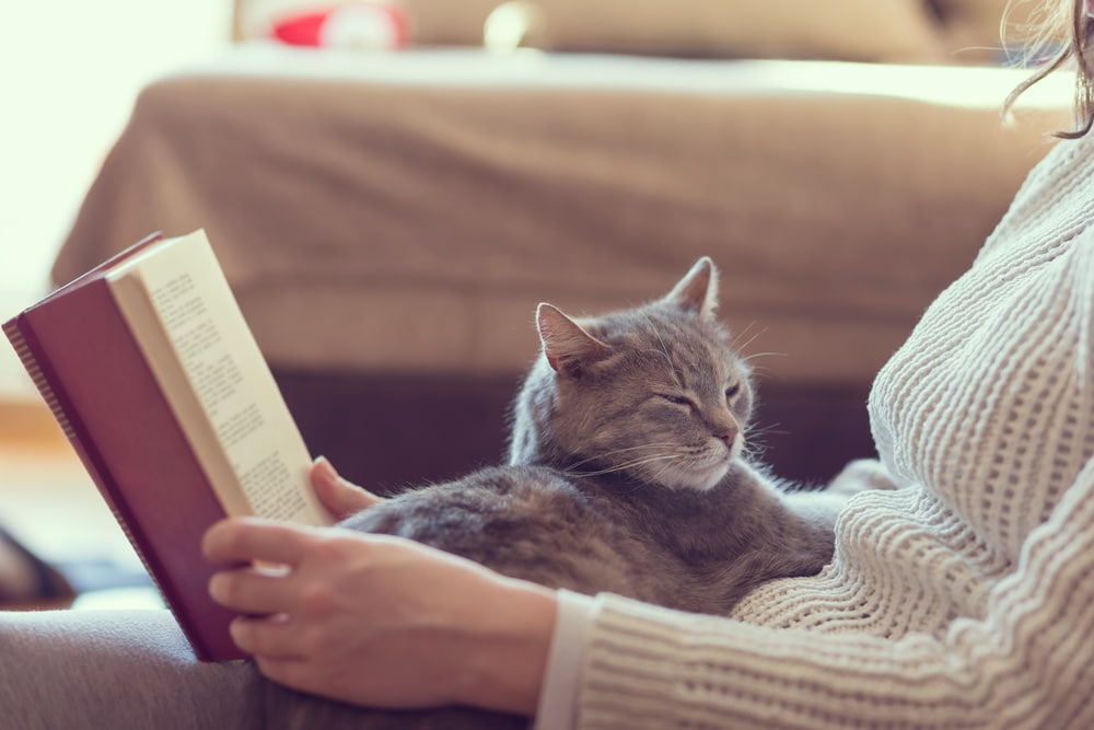 Cat sitting on a woman's lap reading