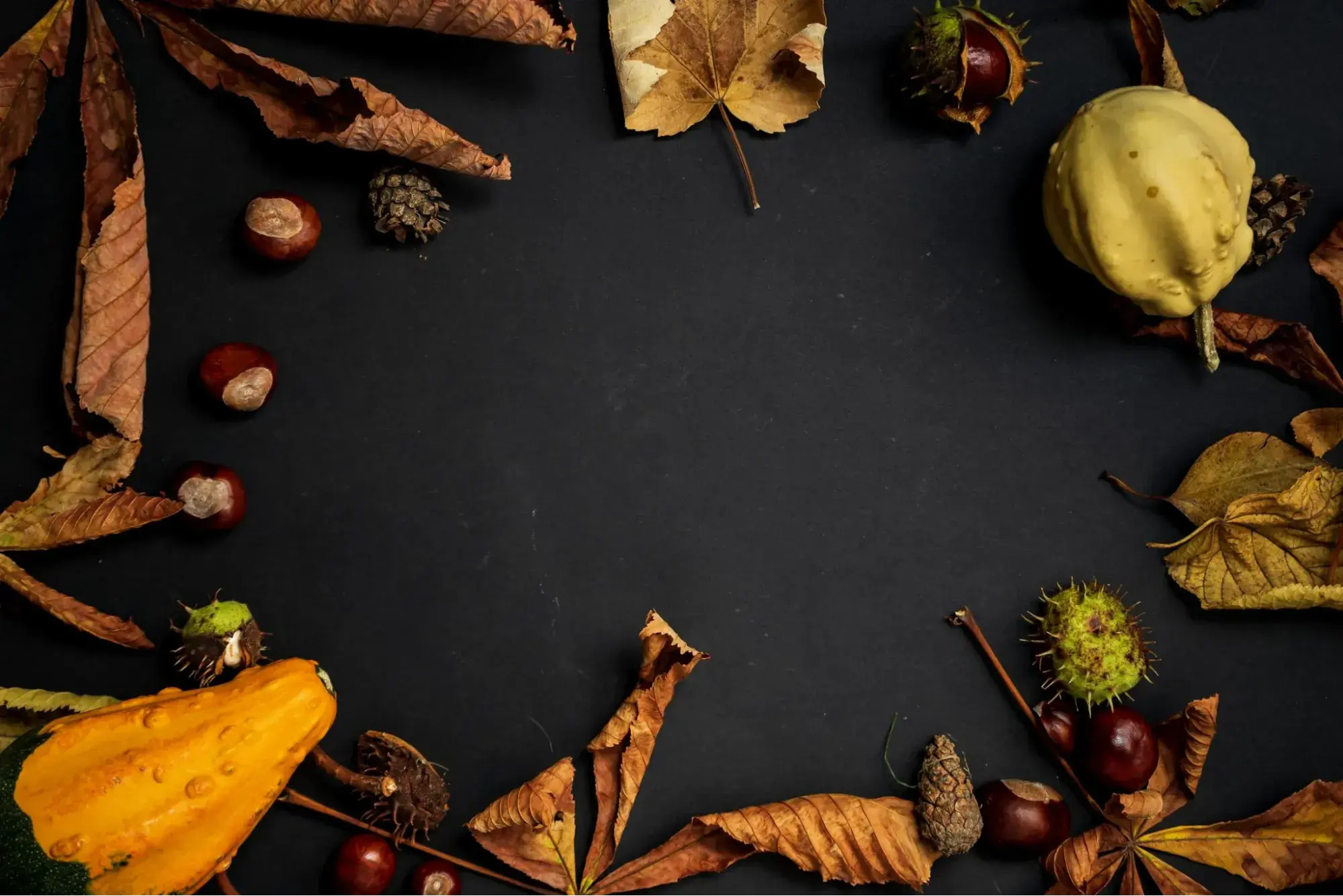 autumn atmosphere backgroundhttps://www.pexels.com/photo/from-above-shot-of-dried-leaves-and-yellow-fruit-3018825/