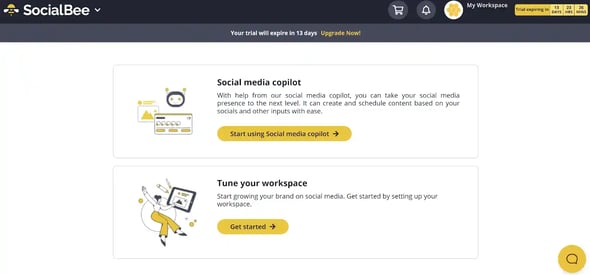 Best AI Copywriting Tools, social bee