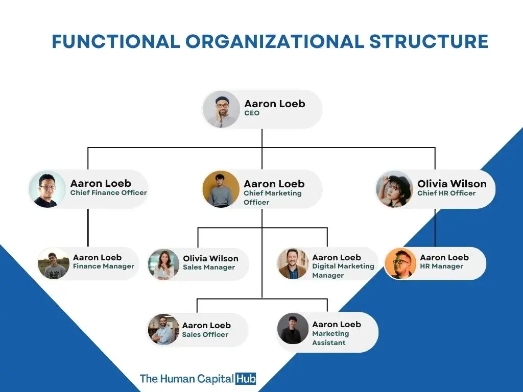 an infographic shows a visual of the functional organizational structure