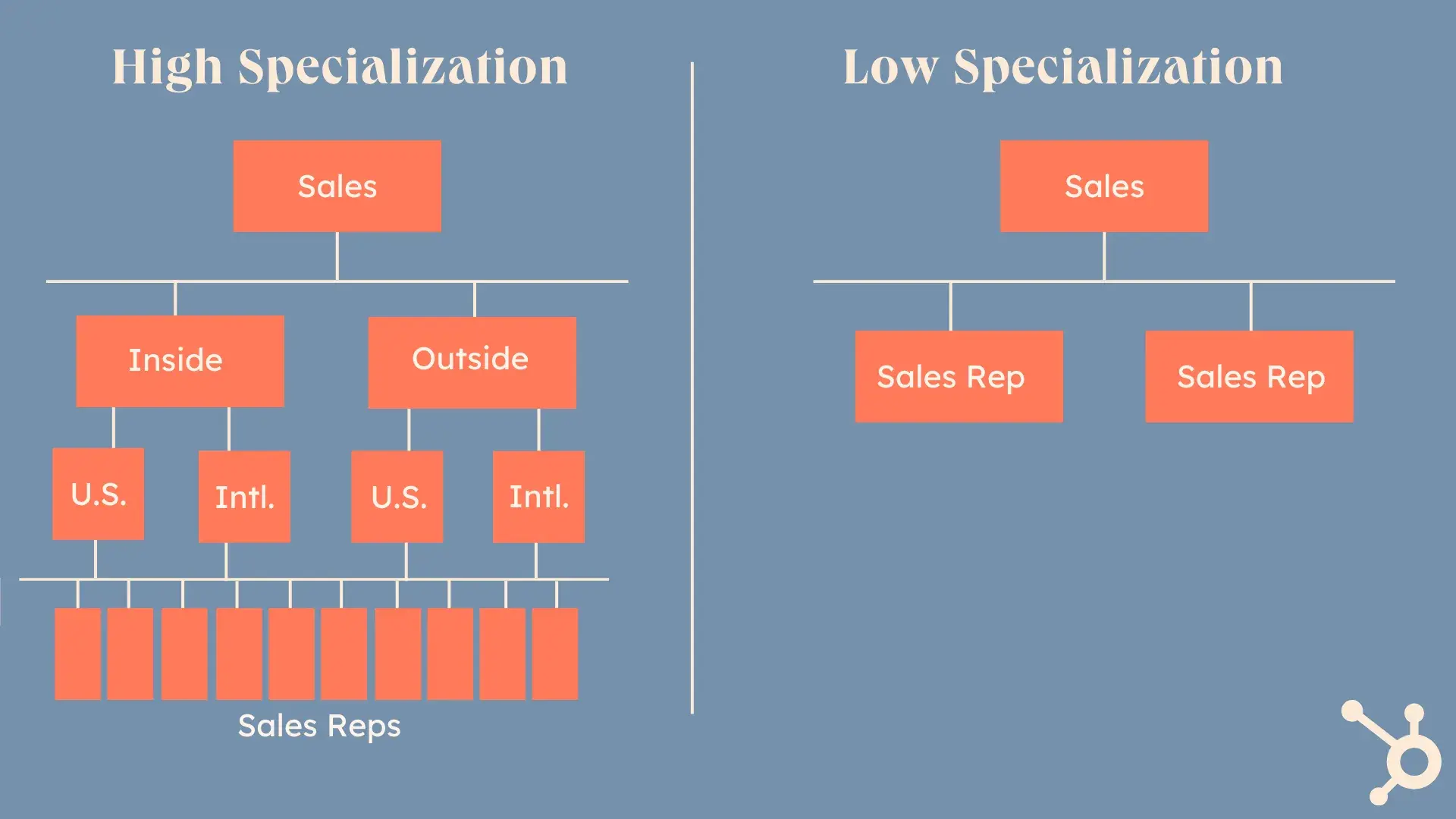 visual of a constituent element of the company with a different specialization structure