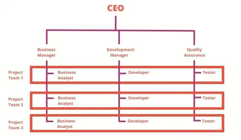 infographic shows a visual of matrix organizational structure