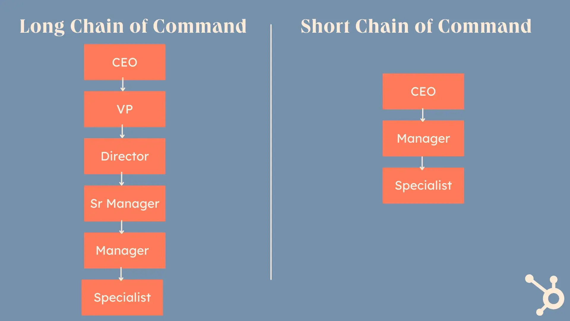 visual of the chain of command of the constituent elements of the company