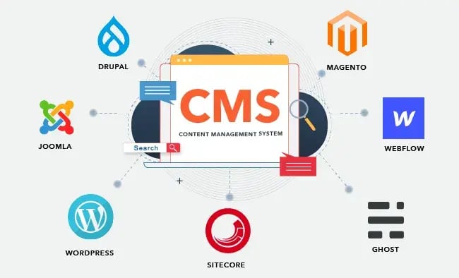 infographic showing popular content management systems and their logos